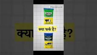 Normal vs Chelated Mineral Mixture | Dairy Farmers जरूर देखें! #farming #baffalo #dairyfarming