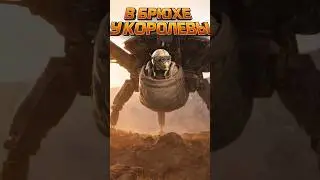 Идеальное место, для полного погружения #кинотеатр #королева #матриарх #аркрайдерс