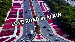 Love road❤️// Alain flower Road