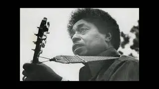 Johnny Shines : Too Wet To Plow (1975)