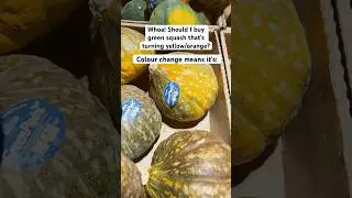 Should you buy these squash? #eatseasonal #squash #kabocha #acorn #homeec #foodskills