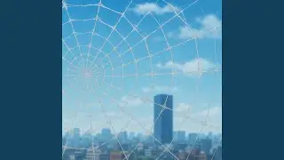 Web of Lies