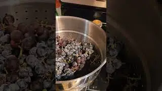 Steam-powered Juicer for forage #wildfood #grape #juicing