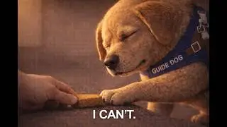A Guide Dog Eats a Treat for the First Time in 10 Years #pixarstyle #animation #guidedog