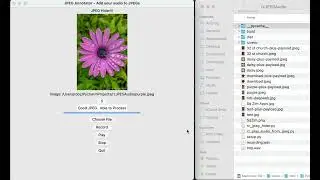jpeg audio mvp