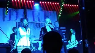 I Love you too much - Dare - Human League Tribute