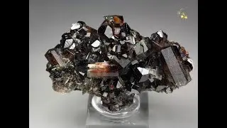 #22235 - TOURMALINE var. DRAVITE, MAGNESITE, Pedra Preta pit, Brazil