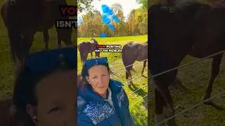 It's so easy.....#mootbluefarm #contentcreator #NewBeginnings2026 #horse #horselove