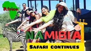 Namibia Jungle Safari|Experience the Wildlife|Namibia Safari Vlog #jungle #safari #wildlife #explore