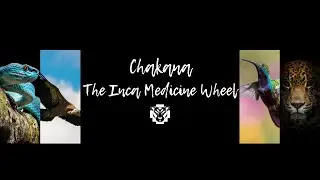 Shamanism Course Online: The Medicine Wheel 🐾