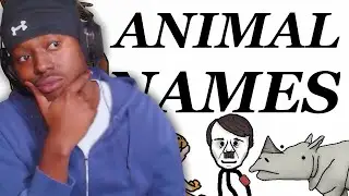 Where Animals&rsquo; Scientific Names Come From  | Jaako Reacts!