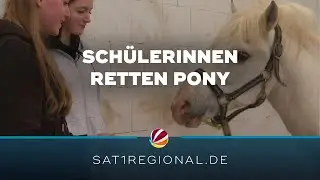 Pony vor Schlachthof bewahrt: Sch&uuml;lerinnen retten 