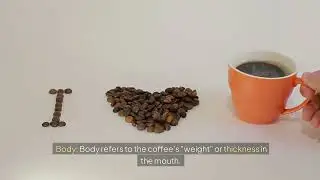 Mastering Coffee Tasting: The Coffee Flavor Pyramid for Beginners
