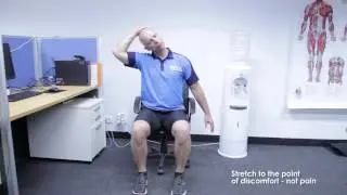 Fitlink - How Sitting At Work Affects Your Health