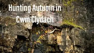 Join me  for a walk hunting autumn colours