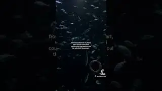 #tiktok #motivation #fypシ゚viral #love #subscribe #quotes #viralvideo #postivevibes