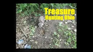 Exploring The Forest Of Treasure - Bottle Digging - Vintage Marbles - Racoon - Toads - Wild Animals
