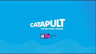 Introducing the Cell and Gene Therapy Catapult
