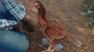 Dhumar Petta 2 Jathi Pillalu.PH.NO:-6305349524