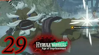 Hyrule Warriors: Age of Imprisonment - Battle for the Tabantha Frontier - part 29