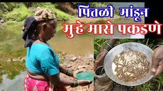 मुऱ्हे मासे | murhe fish | murhe fish catching method