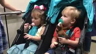 2018 ZOE XL2 BEST v2 Double Stroller in Use! 2.5 yrs old Twins