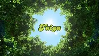 The Natural Community Of Earth..#community #earth #taiga #subscribetomychannel