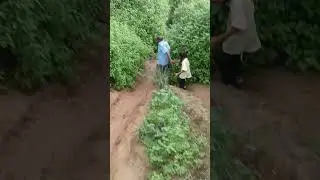 rcct dekh cexkdur
