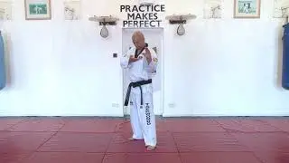 Basics Sparring Stance by Grandmaster Vohra Kukkiwon 9 Dan Black Belt