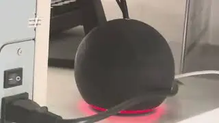 Amazon Alexa playing music in EnvaTours
