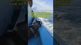 Сейчас бы в Тихом океане рассекать #диджиталдетокс #путешествияпороссии