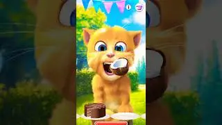 My tom 2 Talking Ginger Funny video tom  #TalkingGinger#talkingtom#🍎🍒🫒🫐🍎🌰🍏🥒🥕🌰🥕🥔🥕🥞🍆🍳🍆🥚🧄🥬🍆🍇🌶️🌽🍈🌽