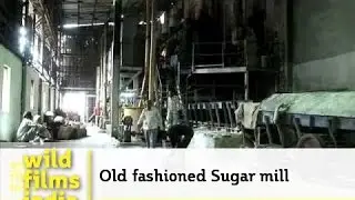 Old fashioned Sugar mill in India's sugarcane belt