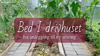 Bed i drivhuset - fra anlegging til ny sesong!
