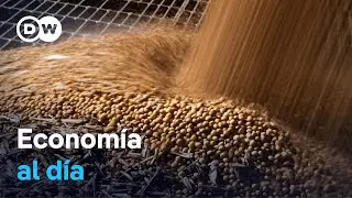🟢 China vuelve a comprar soja de EE. UU. tras haber priorizado a Brasil y Argentina como proveedores