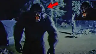 Hunter Stumbles Upon Missing Hiker&rsquo;s Remains &mdash; And Chilling Bigfoot Clues After 8 Years #bigfoot2025