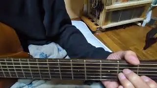 大阪！やのちんのお部屋でカラオケ🎤演歌ギター🤣北川裕二（惚れたんだよ）cover