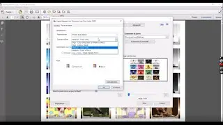 Instellen Driver van LX2000e voor printen van Acrobat document