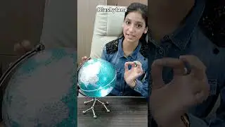 Elegant Globe Light Decor for Office Desks ✨ | BlushyLane&rsquo;s Classy Table Accent