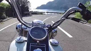 Harley TC88 逍遥 常神半島 No 6
