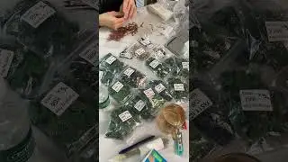 ROC iPhone Camera iPhone Charging PadROC iPhone Kamera iPhone Y&uuml;kleme Pad#unboxing#youtube#housing