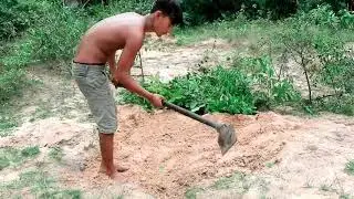 Survival Technique 999 : Amazing Quick Wild Pig Trap Using Deep Hole But Dog in Deep Hole