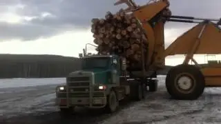 Wagoner unloading log truck