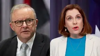 Albanese proposes changes to travel rules after MP expense scandal