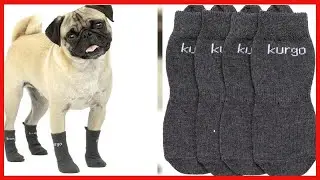 Kurgo Blaze Dog Shoes and Dog Socks   Dog Boots for Winter and Summer