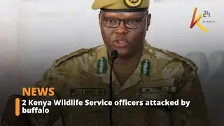 2 Kenya Wildlife Service officers attacked by buffalo