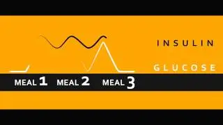 UnicityBalance for Glucose Support