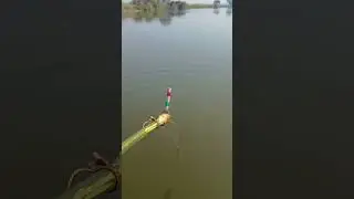 Amazing fishing 🎣 #fishing #Amazing #amazingfishing #explorepage #fishing #fishingtrip #fishingvid