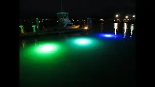 Loomis LED Underwater High-Intensity Bottom Floating Up Dock Light Product Demonstration