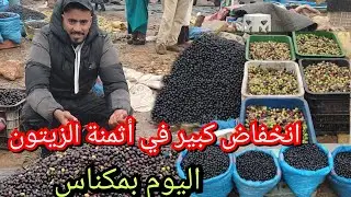 انخفاض كبير في أثمنة الزيتون البوري البلدي اليوم بمكناس بسوق ويسلان 